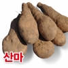 산마2kg/,장마/,참마/,햇마/최상품국내산