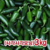 사각모닝고추3kg/아삭모닝고추/싱싱한고추/오이고츠/청양고추/마늘/생강/양파/녹광고추