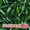 사각모닝고추1kg/아삭모닝고추/싱싱한고추/오이고츠/청양고추/마늘/생강/양파/녹광고추