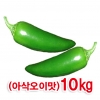 오이고추10kg/오이맛고추/싱싱한고추/토종풋고추/청양고추/마늘/생강/양파/녹광고추 - 사본