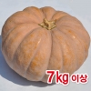 늙은호박 7kg 이상(맷돌호박)호박죽/호박즙/산모에좋은호박중탕/국내산