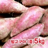 밤고구마(중)5kg/밤고구마/깐마늘/당근/양파/자색고구마/간식/최상품국내산 5kg