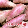 밤고구마(대)5kg/밤고구마/깐마늘/당근/양파/자색고구마/간식/최상품국내산 5kg